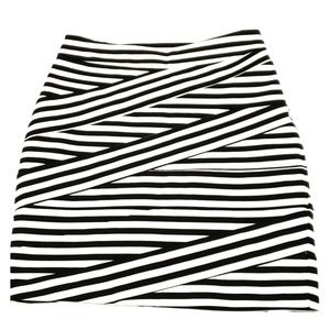 Express zipper pencil skirt